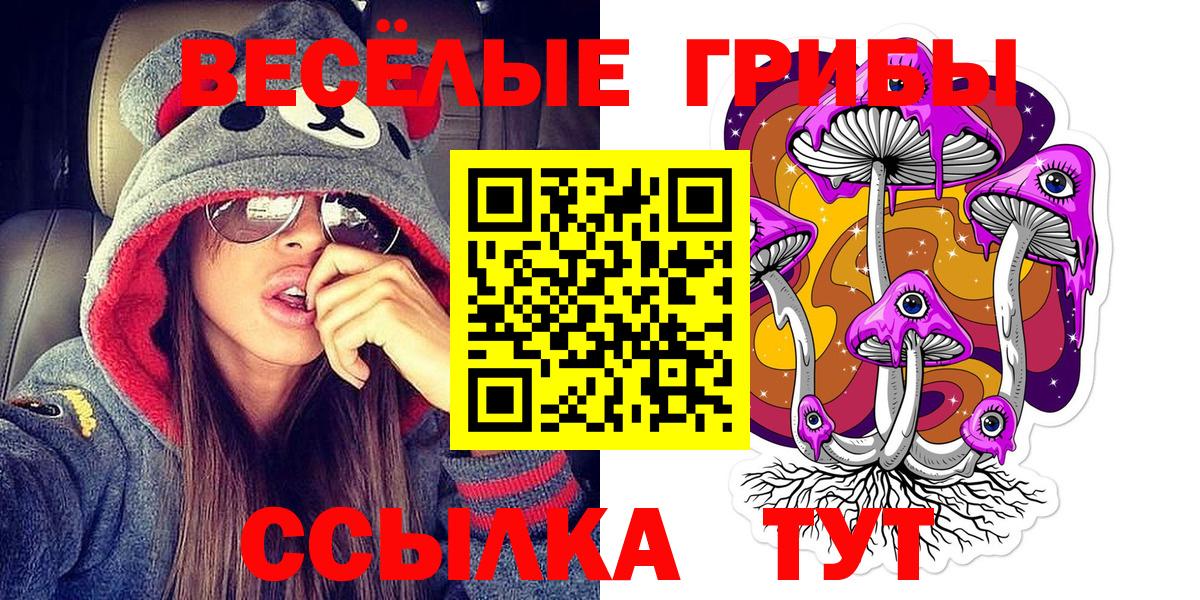 Галлюциногенные грибы MAGIC MUSHROOMS  Вход с VPN  Псилоцибиновые грибы прущие грибы  Коммунар 