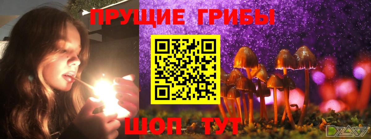 Галлюциногенные грибы прущие грибы Коммунар